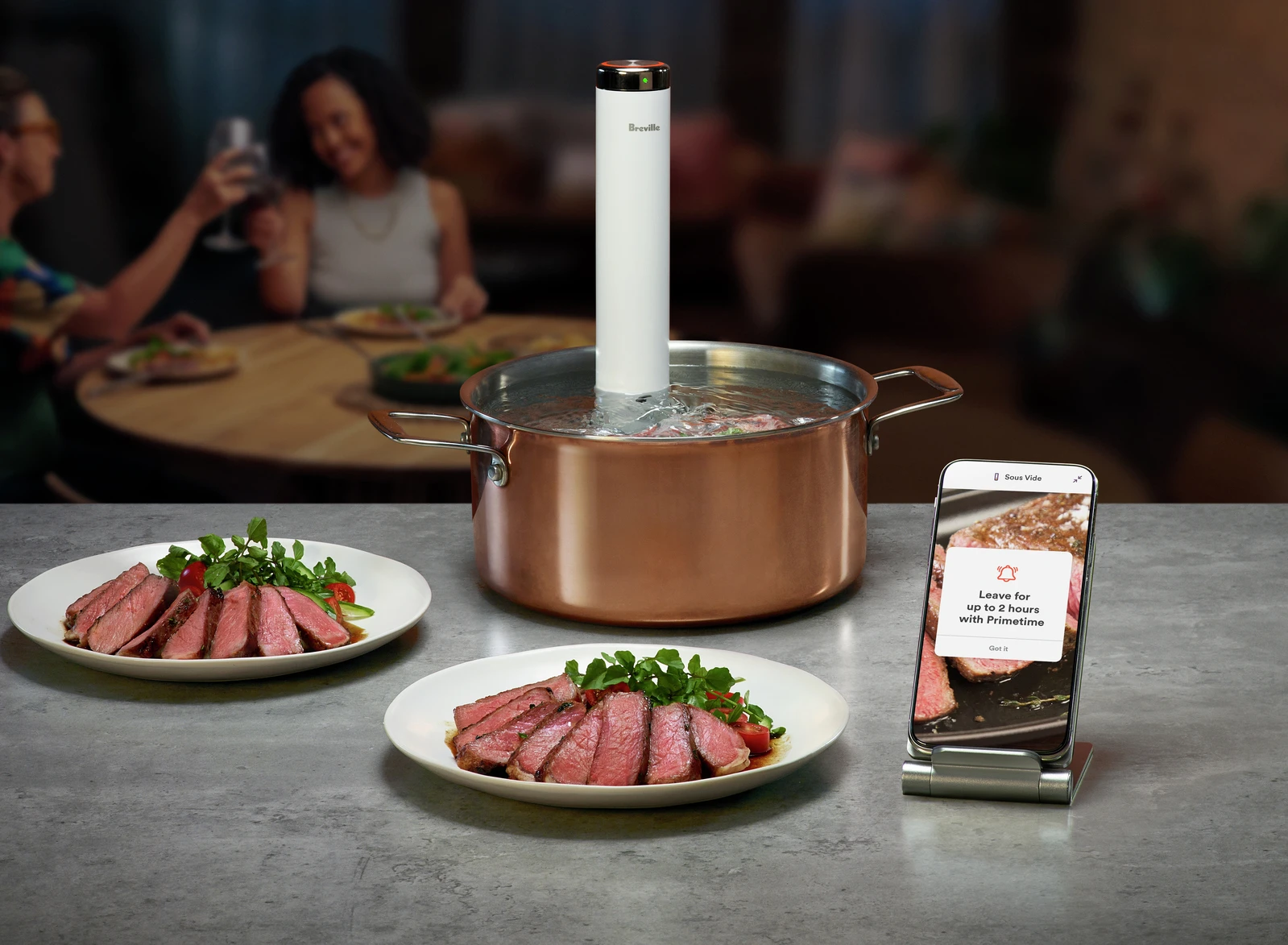 Breville Store 1 Breville Store -Breville Store the Joule® Turbo Sous Vide